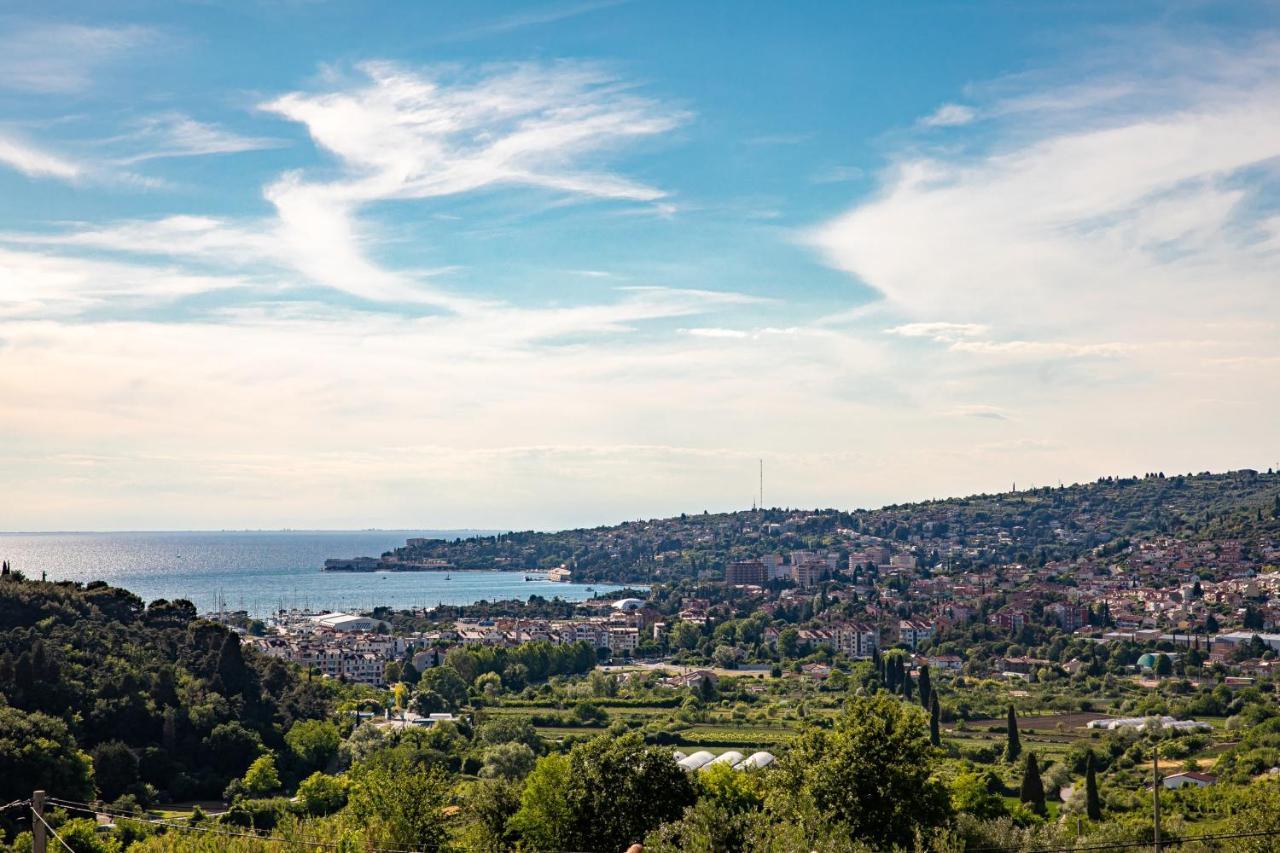 Larabella Salt Fields View Studio Portoroz Luaran gambar