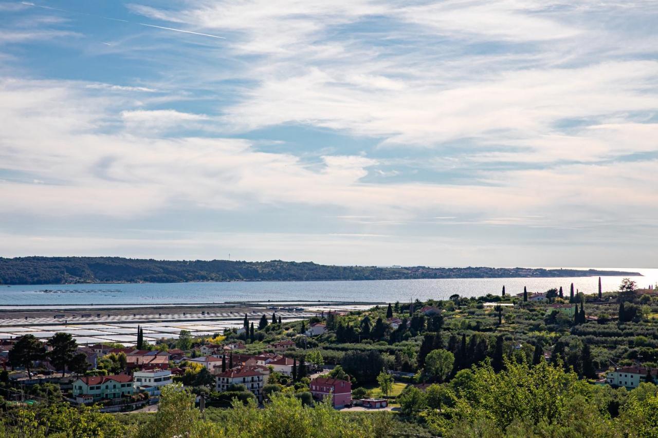 Larabella Salt Fields View Studio Portoroz Luaran gambar